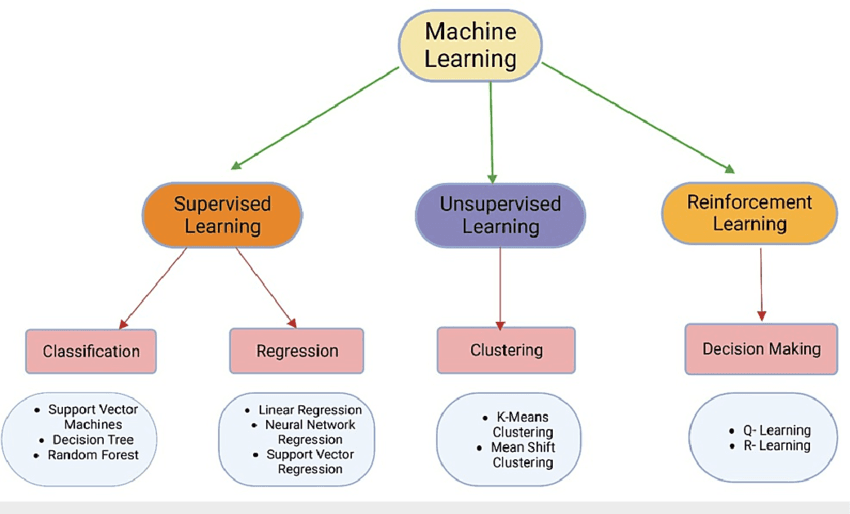 Classification